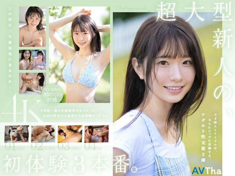 SONE-219 UNCEN ไม่เซ็นเซอร์ Shirakami Sakka